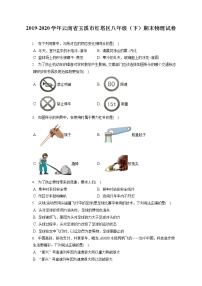 云南省玉溪市红塔区2019-2020学年八年级下学期期末物理试题