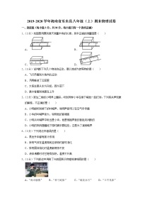 海南省乐东县2019-2020学年八年级上学期期末物理试题