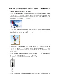 河南省南阳市新野县2021-2022学年八年级上学期期末物理试题