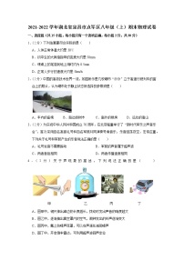 湖北省宜昌市点军区2021-2022学年八年级上学期期末物理试题