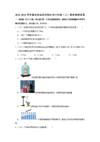 湖北省宜昌市枝江市2021-2022学年八年级上学期期末物理试题