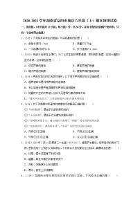 湖南省岳阳市城区2020-2021学年八年级上学期期末物理试题