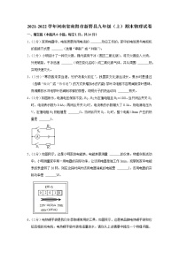 河南省南阳市新野县2021-2022学年九年级上学期期末物理试题