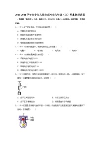 辽宁省大连市庄河市2020-2021学年九年级上学期期末物理试题