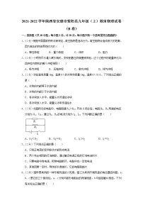 陕西省安康市紫阳县2021-2022学年九年级上学期期末物理试题（B卷）