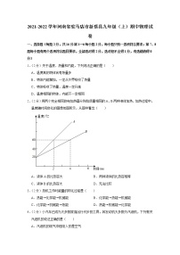 河南省驻马店市新蔡县2021-2022学年九年级上学期期中物理试题