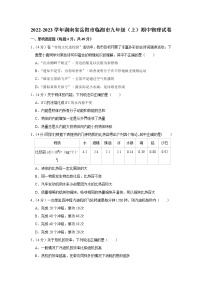 湖南省岳阳市临湘市2022-2023学年九年级上学期期中物理试题