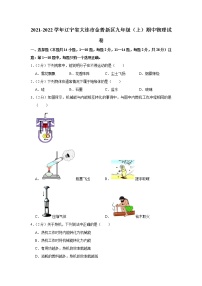 辽宁省大连市金普新区2021-2022学年九年级上学期期中物理试题