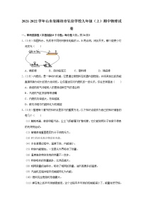 山东省潍坊市弘信学校2021-2022学年九年级上学期期中物理试题