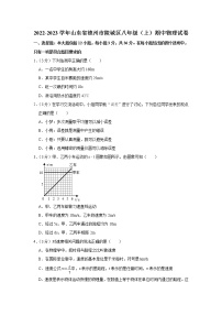 山东省德州市陵城区2022-2023学年八年级上学期期中物理试题