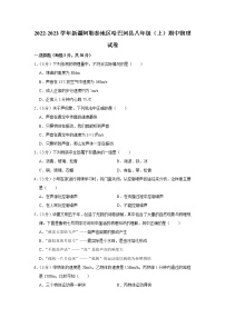 新疆阿勒泰地区哈巴河县2022-2023学年八年级上学期期中物理试题