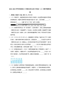 河南省三门峡市灵宝市2022-2023学年八年级上学期期中物理试题