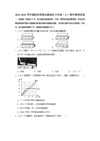 湖南省常德市鼎城区2022-2023学年八年级上学期期中物理试题