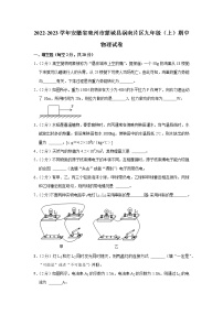 安徽省亳州市蒙城县涡南片区2022-2023学年九年级上学期期中物理试题