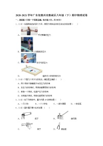 广东省惠州市惠城区2020-2021学年八年级下学期期中物理试题