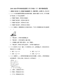 河南省洛阳八中2019-2020学年八年级下学期期中物理试题