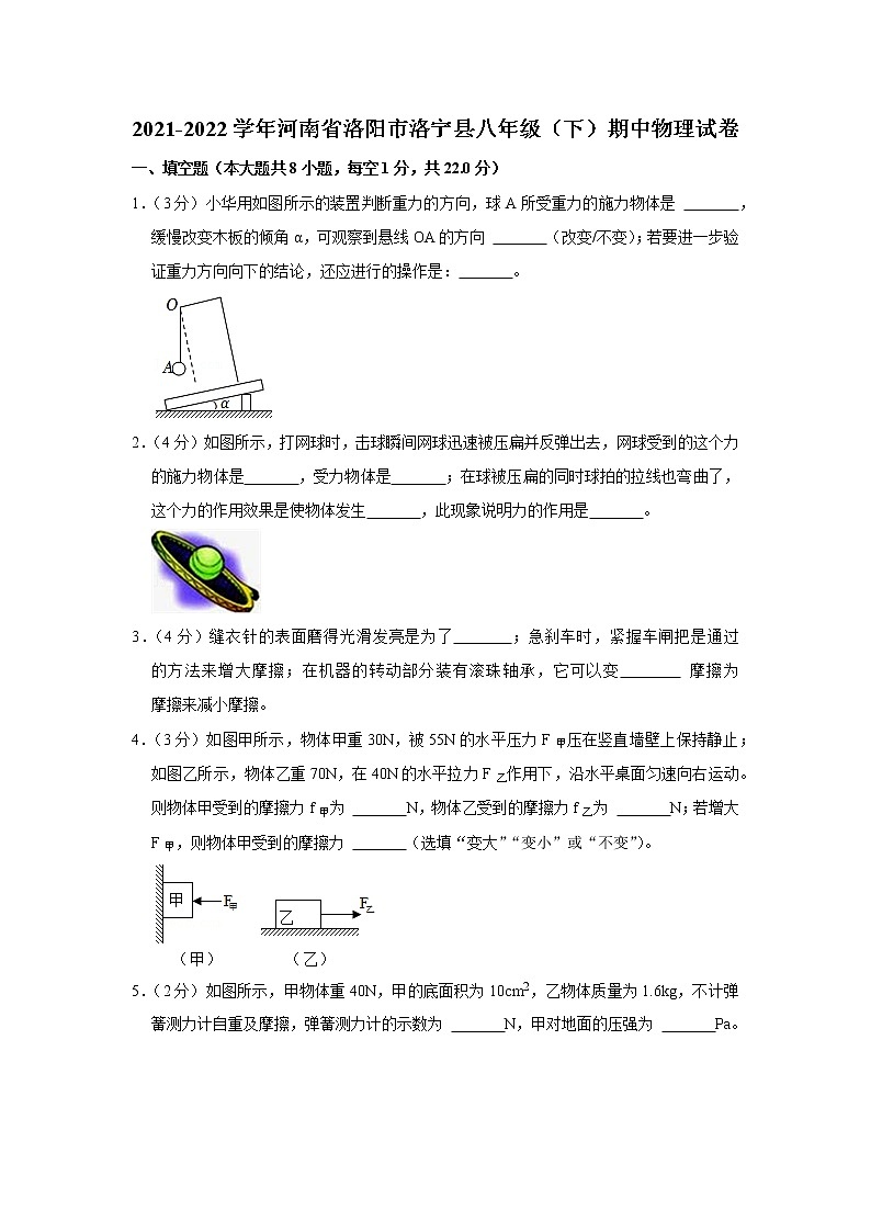 河南省洛阳市洛宁县2021-2022学年八年级下学期期中物理试题01