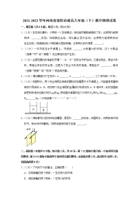 河南省洛阳市嵩县2021-2022学年八年级下学期期中物理试题