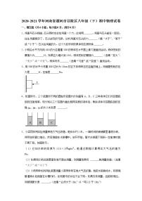 河南省漯河市召陵区2020-2021学年八年级下学期期中物理试题