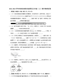 河南省南阳市新野县2022-2023学年九年级上学期期中物理试题