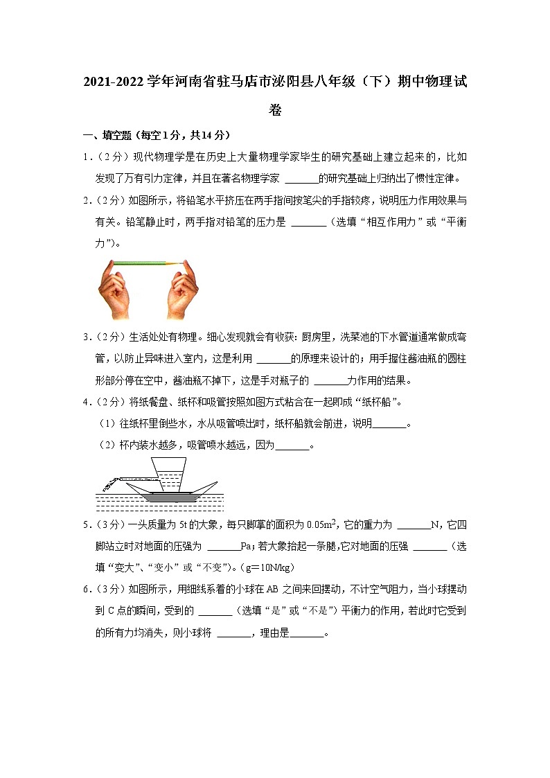 河南省驻马店市泌阳县2021-2022学年八年级下学期期中物理试题01