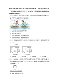 黑龙江省齐齐哈尔市2019-2020学年八年级下学期期中物理试题