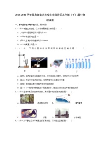 黑龙江省齐齐哈尔市龙沙区2019-2020学年九年级下学期期中物理试题