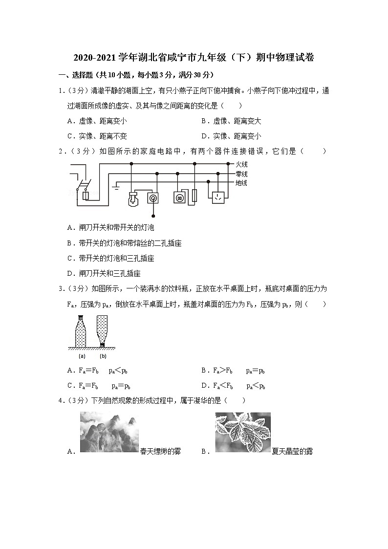 湖北省咸宁市2020-2021学年九年级下学期期中物理试题01