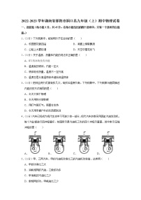 湖南省邵阳市洞口县2022-2023学年九年级上学期期中物理试题