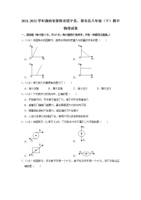 湖南省邵阳市绥宁县、邵东县2021-2022学年八年级下学期期中物理试题