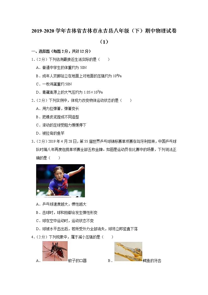 吉林省吉林市永吉县2019-2020学年八年级下学期期中物理试题（1）01