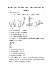 广东省深圳市龙岗区名校联考2022-2023学年九年级上学期期中物理试题