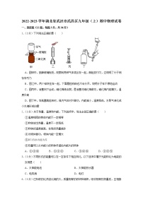 湖北省武汉市武昌区2022-2023学年九年级上学期期中物理试题