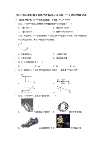 湖北省武汉市新洲区2019-2020学年八年级下学期期中物理试题