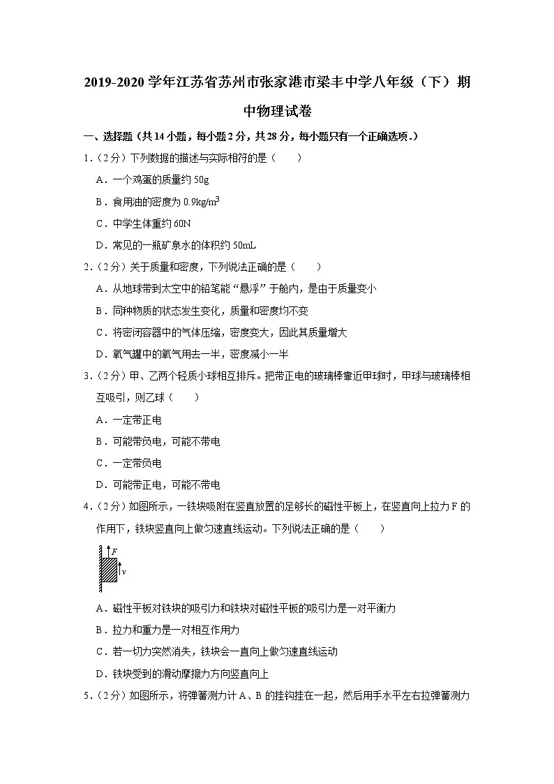 江苏省苏州市张家港市梁丰中学2019-2020学年八年级下学期期中物理试题01