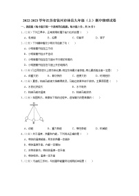 江苏省徐州市沛县2022-2023学年九年级上学期期中物理试题