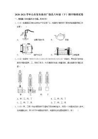 山东省东营市广饶县2020-2021学年八年级下学期期中物理试题