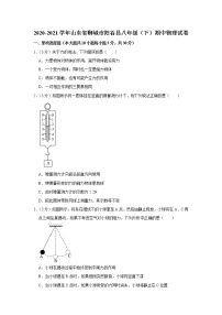 山东省聊城市阳谷县2020-2021学年八年级下学期期中物理试题