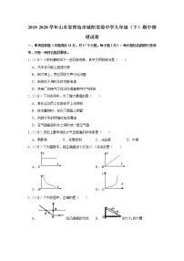 山东省青岛市城阳实验中学2019-2020学年九年级下学期期中物理试题