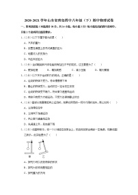 山东省青岛四中2020-2021学年八年级下学期期中物理试题