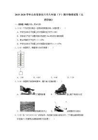 山东省泰安六中2019-2020学年八年级下学期期中物理试题（五四学制）