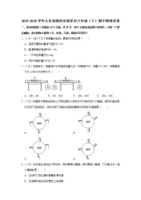 山东省潍坊市高密市2019-2020学年八年级下学期期中物理试题