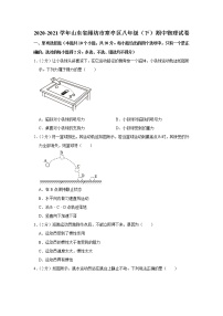 山东省潍坊市寒亭区2020-2021学年八年级下学期期中物理试题