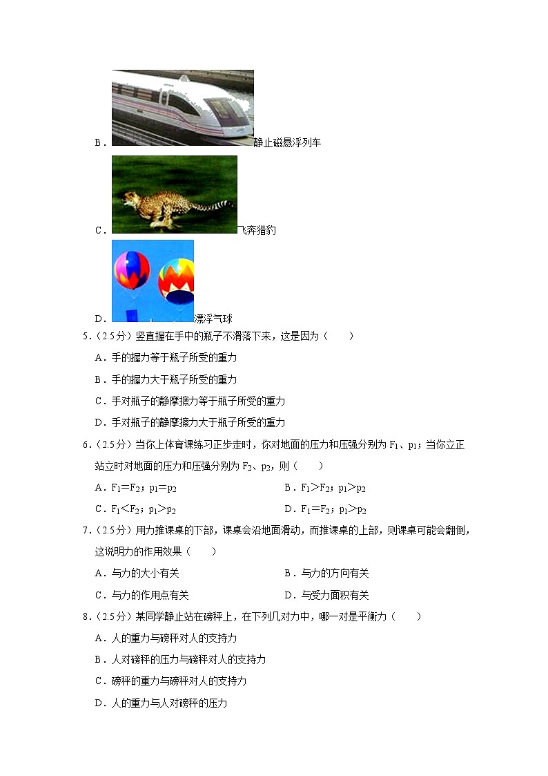 四川省乐山市市中区通安片2019-2020学年八年级下学期期中物理试题02