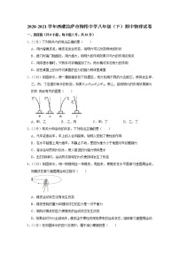 西藏拉萨市柳梧中学2020-2021学年八年级下学期期中物理试题