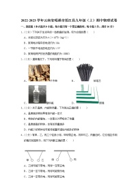 云南省昭通市绥江县2022-2023学年九年级上学期期中物理试题