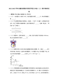 安徽省铜陵外国语学校2022-2023学年九年级上学期期中物理试题