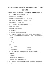 河南省驻马店市上蔡县衡实中学2022-2023学年九年级上学期期中物理试题