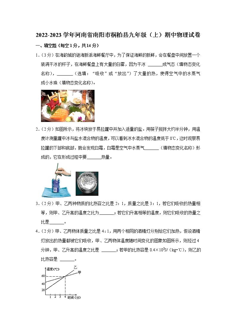 河南省南阳市桐柏县2022-2023学年九年级上学期期中物理试题01