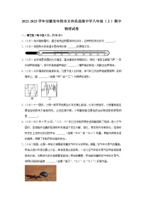 安徽省阜阳市太和县苗集中学2022-2023学年八年级上学期期中物理试题